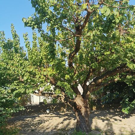 Villa Dans Le Sud Lunel  Ngoại thất bức ảnh